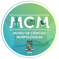 Logotipo MCM sem fundo-01 (3).png