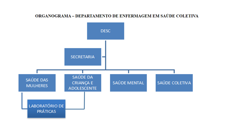 organograma desc.png