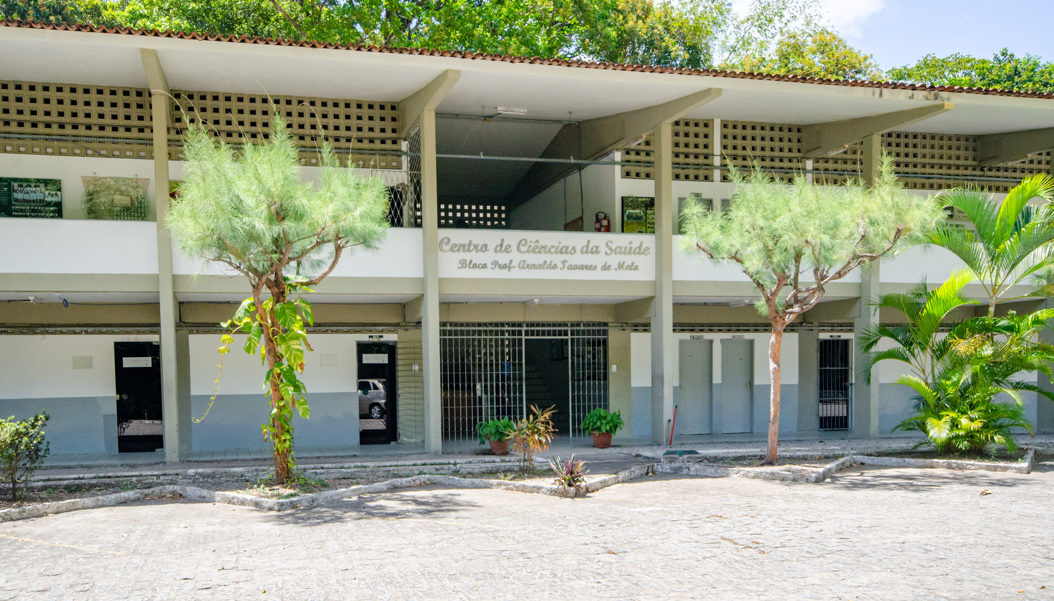 Imagem decorativa do site